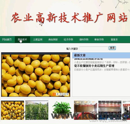 Web端農(nóng)業(yè)高新技術(shù)推廣平臺 設(shè)計理念與實現(xiàn)路徑