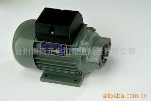 臺(tái)州市天元電機(jī)泵業(yè)制造 專(zhuān)業(yè)電動(dòng)機(jī)制造商