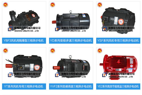 yb3隔爆型電動(dòng)機(jī) 金力特電機(jī)質(zhì)量看得見(jiàn)，深耕微電機(jī)及其他電機(jī)制造