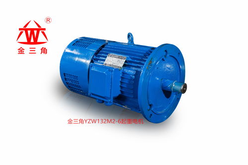 金三角起重電機 品質(zhì)與多樣性的完美結合